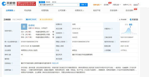專(zhuān)業(yè)商務(wù)信息咨詢(xún) 企業(yè)決策的智慧引擎